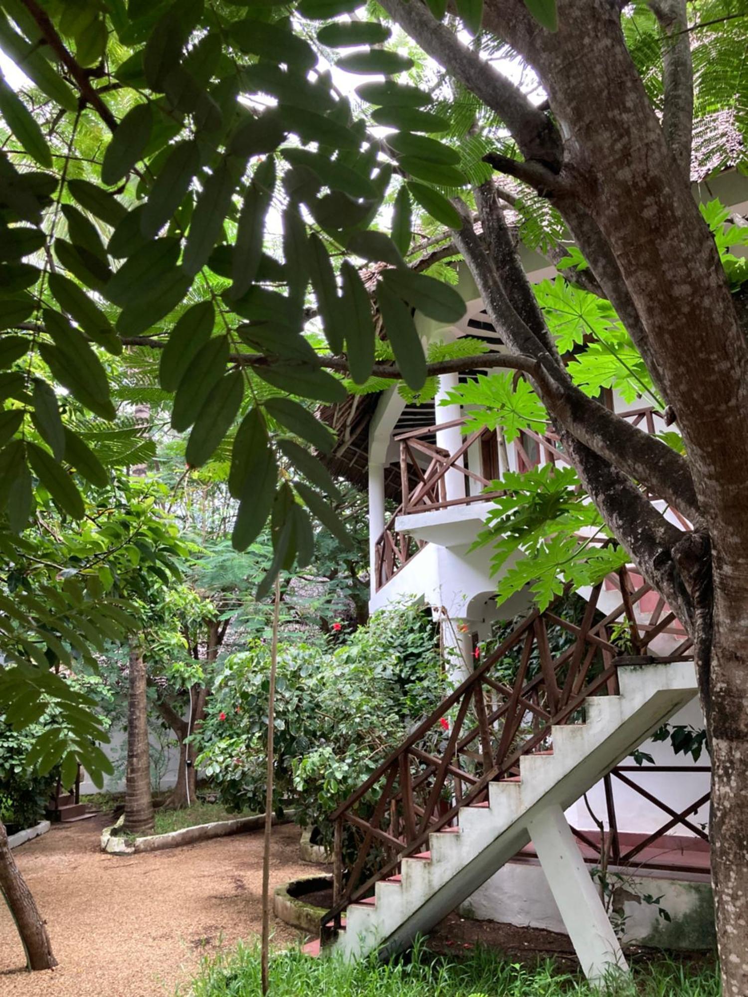 Pasa Lodge Zanzibar Nungwi Exterior foto